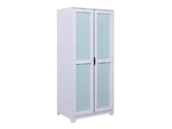 GLASCA - Armoire 2 Portes En Pin Gris Et Vert D'Eau