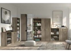 Armoire, Collection TOLLY, 2 Portes, 75x150 Cm, Coloris Chêne Sonoma -Meubles Soldes Boutique armoire et dressing 15893107