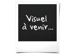 Canapé D'angle Convertible Réversible + Coffre De Rangement - Tissu Beige - INDIAN -Meubles Soldes Boutique canape 13950573