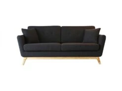 Hoga : Canapé Scandinave 3 Places Gris Anthracite + 2 Coussins