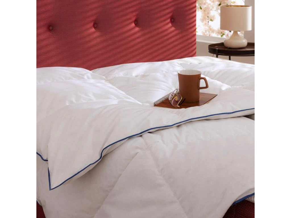 Couette Prestige Hôtellerie Duvet De Canard Someo 260x240 6 Couette Prestige Hôtellerie Duvet De Canard Someo 260x240 – Image 4