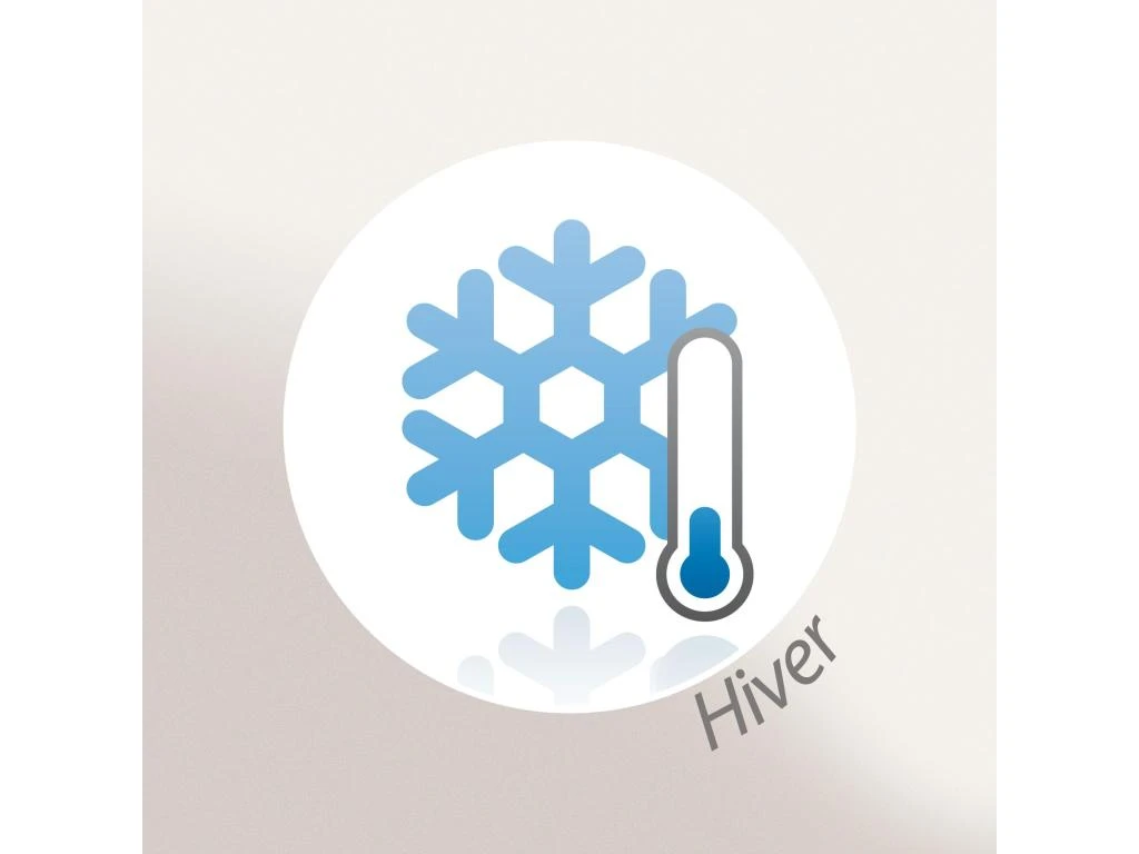 Couette Hiver 260x240 Cm CASTOR Garnissage Fibre Polyester 400 G/m2 11 Couette Hiver 260x240 Cm CASTOR Garnissage Fibre Polyester 400 G/m2 – Image 9