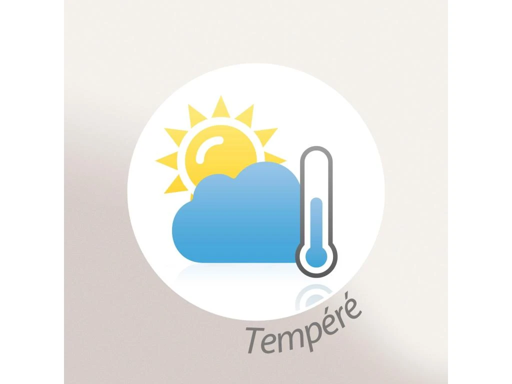 Couette Tempérée 140x200 Cm CARESSE Garnissage Polyester 375 G/m2 11 Couette Tempérée 140x200 Cm CARESSE Garnissage Polyester 375 G/m2 – Image 9