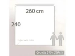 Couette 260x240 Cm 4 Saisons FINLANDE Garnissage Naturel Duvet De Canard 180+300 = 480 G/m2 18 Couette 260x240 Cm 4 Saisons FINLANDE Garnissage Naturel Duvet De Canard 180+300 = 480 G/m2 -Meubles Soldes Boutique couette 8897871