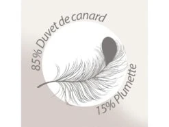 Couette 260x240 Cm 4 Saisons FINLANDE Garnissage Naturel Duvet De Canard 180+300 = 480 G/m2 20 Couette 260x240 Cm 4 Saisons FINLANDE Garnissage Naturel Duvet De Canard 180+300 = 480 G/m2 -Meubles Soldes Boutique couette 8897875