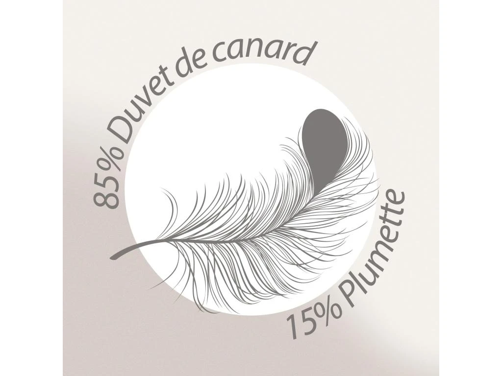 Couette 260x240 Cm 4 Saisons FINLANDE Garnissage Naturel Duvet De Canard 180+300 = 480 G/m2 11 Couette 260x240 Cm 4 Saisons FINLANDE Garnissage Naturel Duvet De Canard 180+300 = 480 G/m2 – Image 9