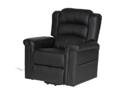 Fauteuil électrique Inclinable BERNIE Noir - HAPPY GARDEN -Meubles Soldes Boutique fauteuil 10781027
