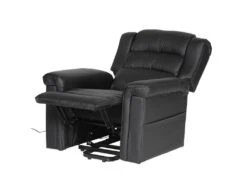 Fauteuil électrique Inclinable BERNIE Noir - HAPPY GARDEN -Meubles Soldes Boutique fauteuil 10781029