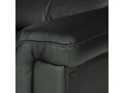 Fauteuil électrique Inclinable BERNIE Noir - HAPPY GARDEN -Meubles Soldes Boutique fauteuil 10781033