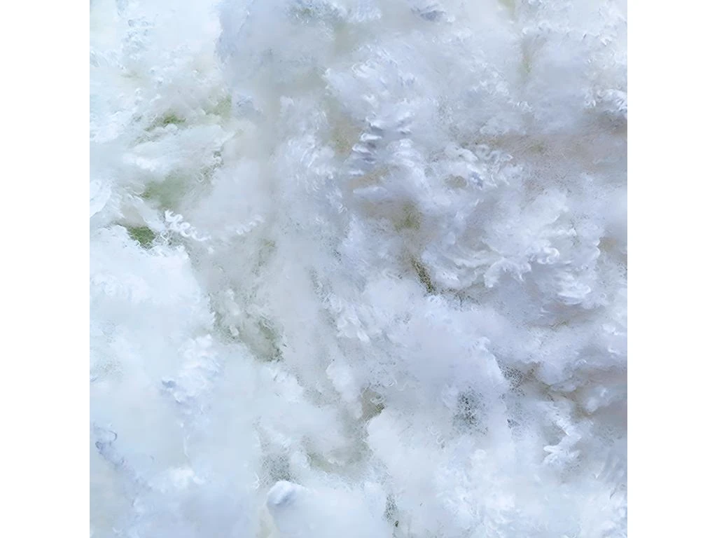 BELLECOUR LITERIE | Lot De 4 Oreillers 60x60 Cm GRAND PALACE | Fibres Creuses Polyester | Souple 5 BELLECOUR LITERIE | Lot De 4 Oreillers 60x60 Cm GRAND PALACE | Fibres Creuses Polyester | Souple – Image 3