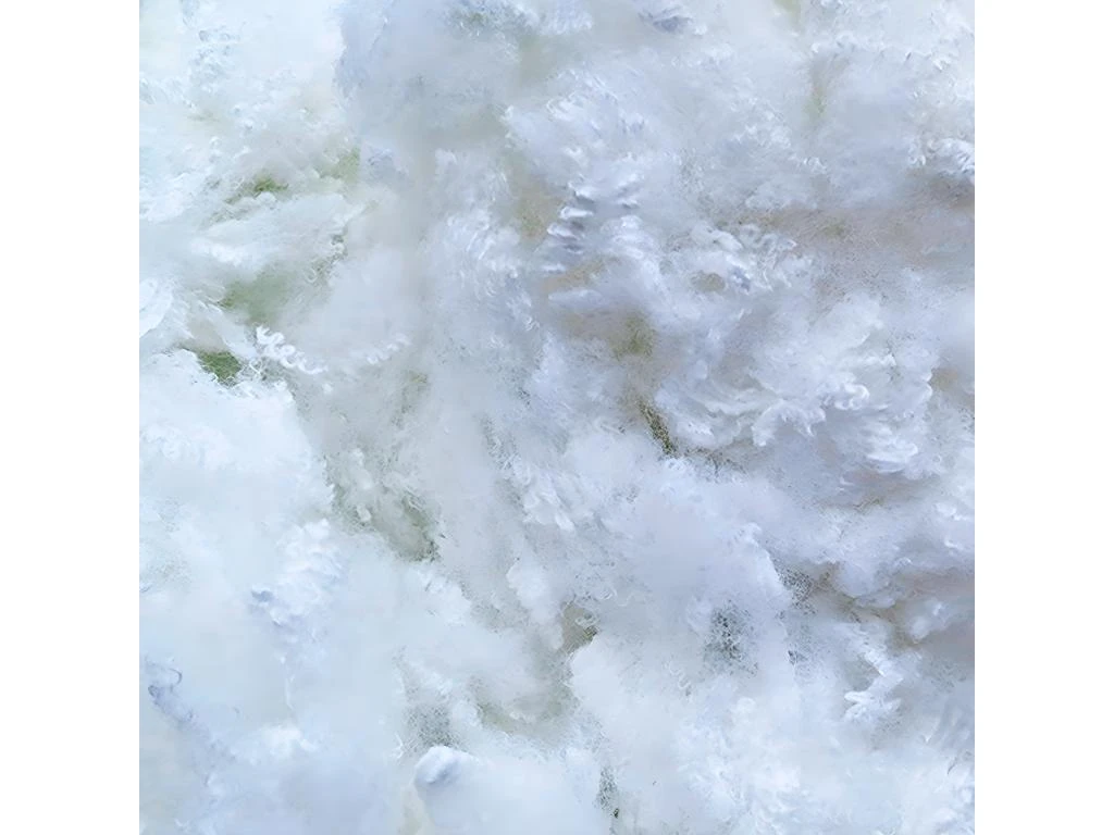 BELLECOUR LITERIE | Lot De 2 Oreillers 65x65 Cm GRAND PALACE | Fibres Creuses Polyester | Souple 5 BELLECOUR LITERIE | Lot De 2 Oreillers 65x65 Cm GRAND PALACE | Fibres Creuses Polyester | Souple – Image 3