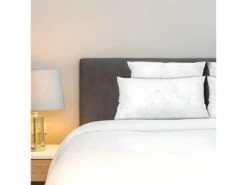 BELLECOUR LITERIE | Oreiller 60x60 Cm CHAMBORD | Duvet & Plumes | Mi-ferme -Meubles Soldes Boutique oreiller 12650639