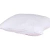 Oreiller Anti-punaises Et Anti-insectes Moelleux Enveloppe Microfibre 65x65