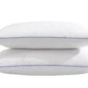 Lot De 2 Oreillers Moelleux Duvet De Canard Anti-allergènes Someo 45x70 -Meubles Soldes Boutique oreiller 21842419