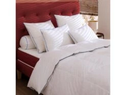 Oreiller Moelleux Duvet De Canard Anti-allergènes Someo 60x60 -Meubles Soldes Boutique oreiller 21842795