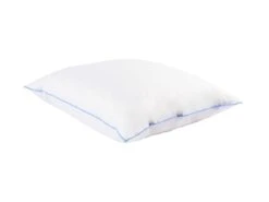 Oreiller Moelleux Duvet De Canard Anti-allergènes Someo 60x60 -Meubles Soldes Boutique oreiller 21842799