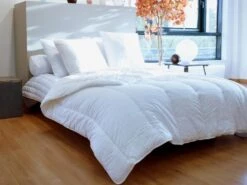 Lot De 2 Oreillers Traitement Anti-acariens Naturel Greencare - 60 X 60 Cm - 550 Gr - Blanc - Coton - AZYLIA -Meubles Soldes Boutique oreiller 7729135