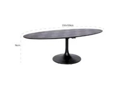Table à Dîner Blax Ovale 230x100 9 Table à Dîner Blax Ovale 230x100 -Meubles Soldes Boutique table a manger 15467593