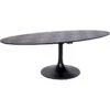 Table à Dîner Blax Ovale 250x120 -Meubles Soldes Boutique table a manger 15468103
