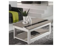 Table Basse Relevable Chêne Clair/Blanc - UPTI