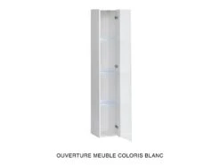 Vitrine Suspendue Grise Avec 1 Porte Vitrée Et éclairage LED Inclus. Collection SWITCH. 9 Vitrine Suspendue Grise Avec 1 Porte Vitrée Et éclairage LED Inclus. Collection SWITCH. -Meubles Soldes Boutique vitrine 22140411